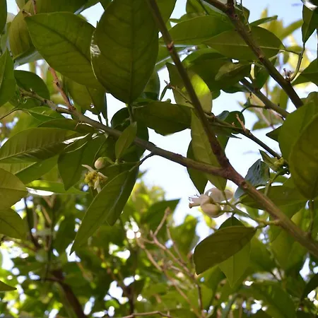 Apartamento Ilgiardinodilina