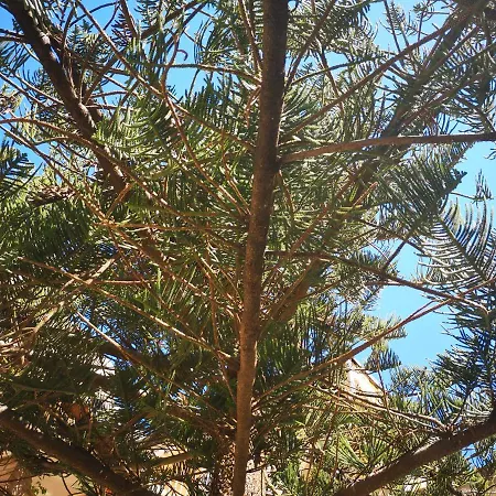 Ilgiardinodilina Apartamento *